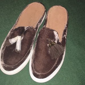 Gentle souls by Kenneth Cole